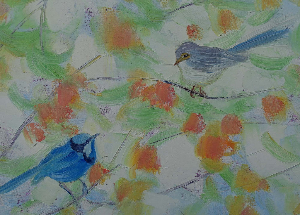 69164a62e1b8ea140711df10_blue-wrens-detail_1781590621241.jpg