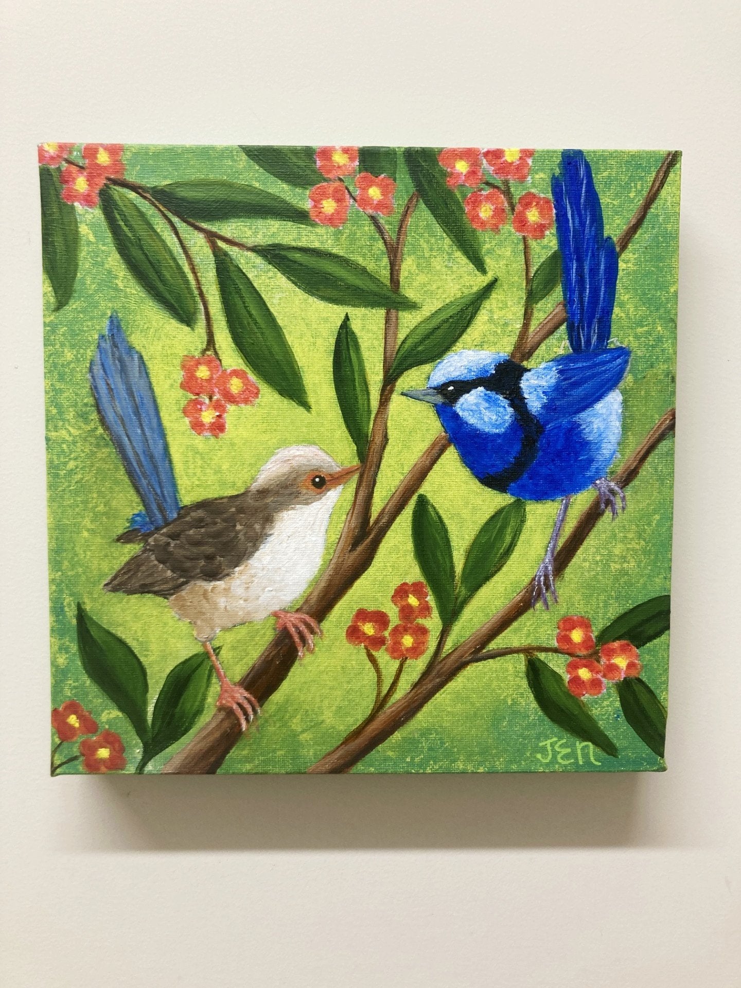 69164a62e1b8ea140711df10_blue-wrens-hanging-1_1779585785367.jpg