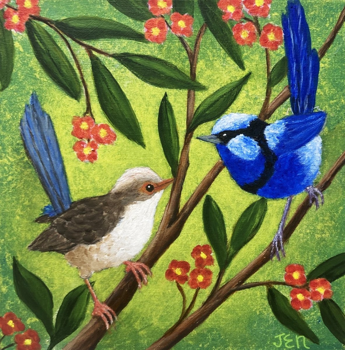 69164a62e1b8ea140711df10_blue-wrens-with-orange-flowers_1779585785368.jpg