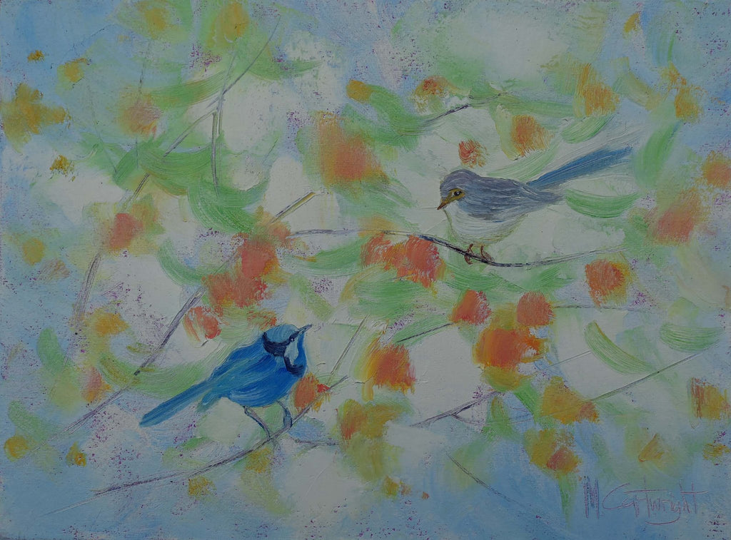 69164a62e1b8ea140711df10_blue-wrens_1781590506685.jpg