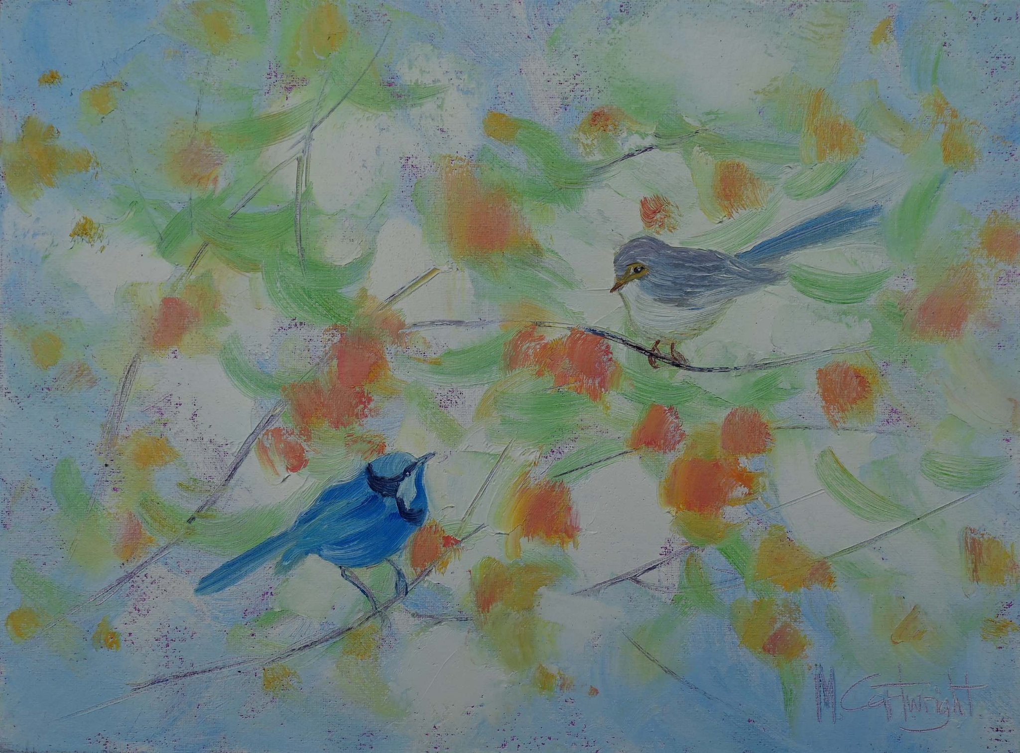 69164a62e1b8ea140711df10_blue-wrens_1781590506685.jpg