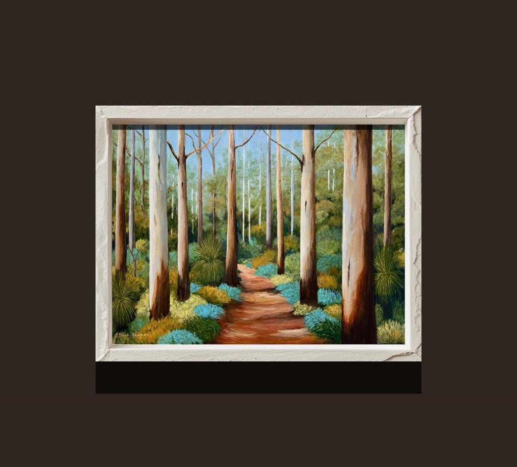 69164a62e1b8ea140711df10_boranup-forest-in-frame-white_1777615795853.jpg