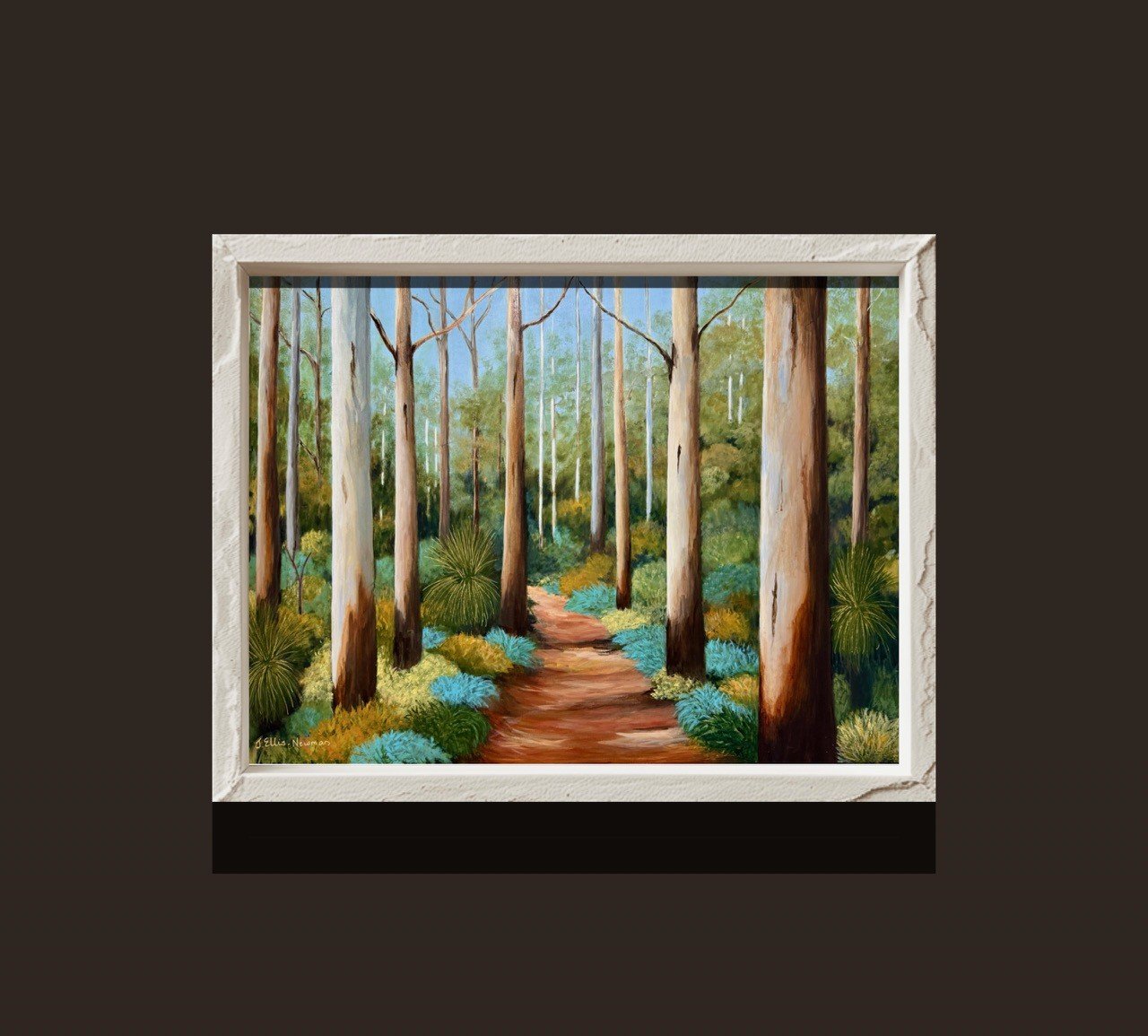 69164a62e1b8ea140711df10_boranup-forest-in-frame-white_1777615795853.jpg