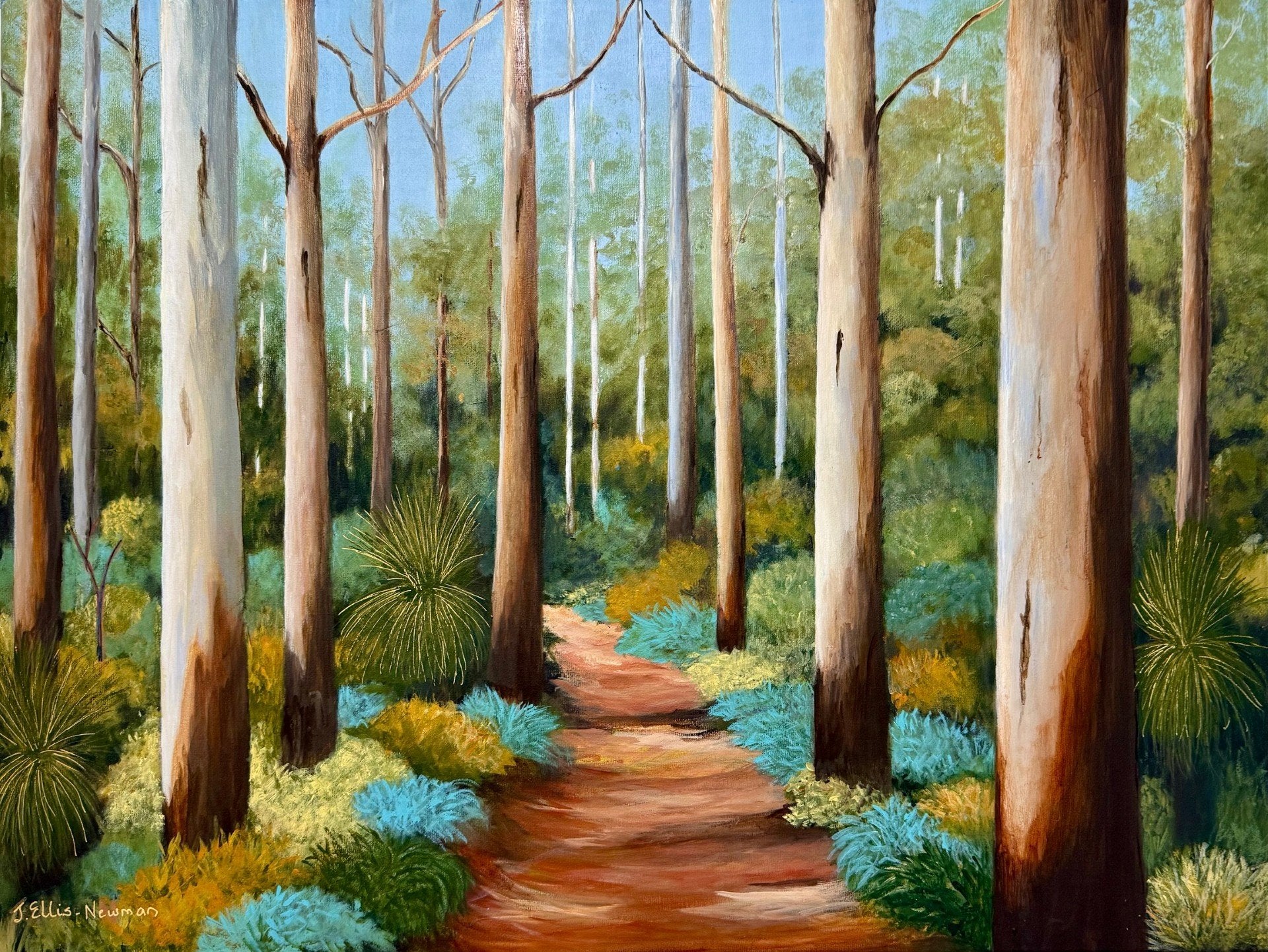 69164a62e1b8ea140711df10_boranup-forest_1777615795853.jpg