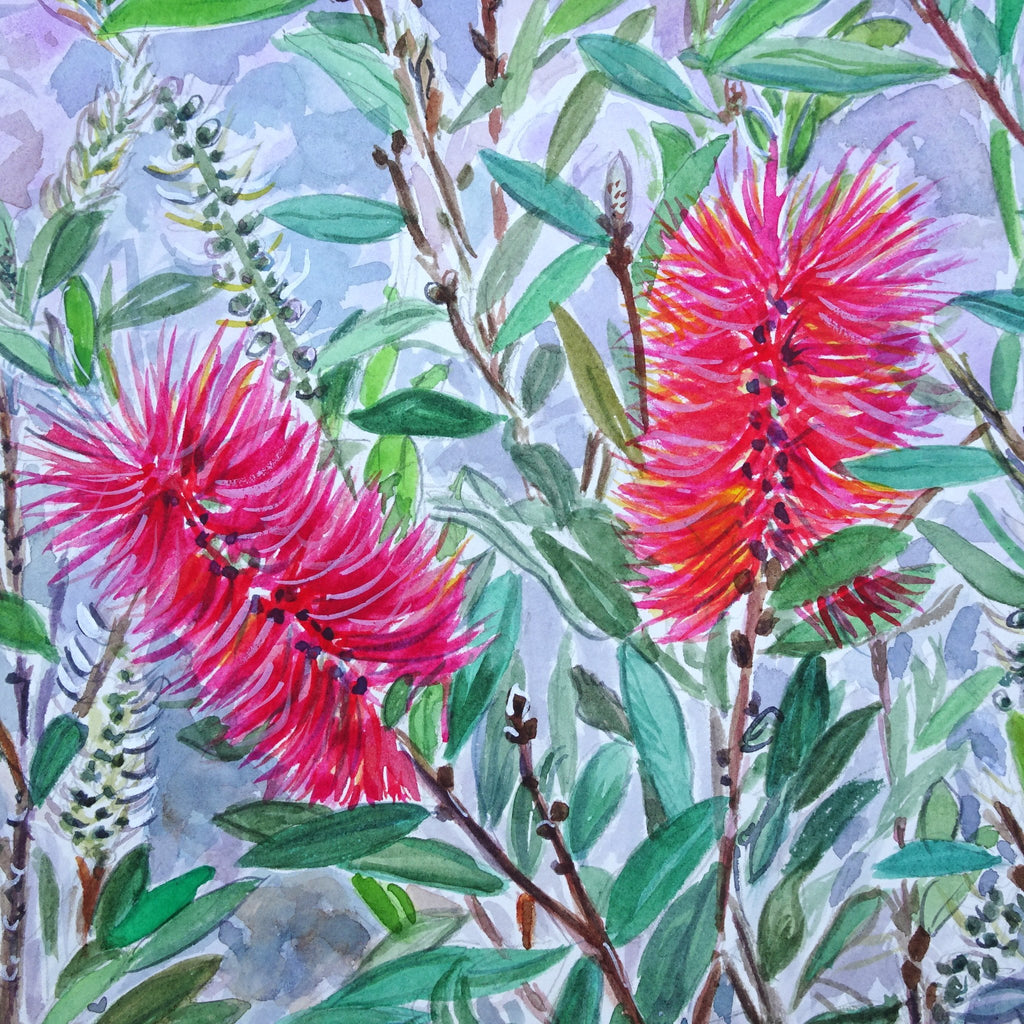 69164a62e1b8ea140711df10_bottlebrush-flower-detail_1788675032531.jpg