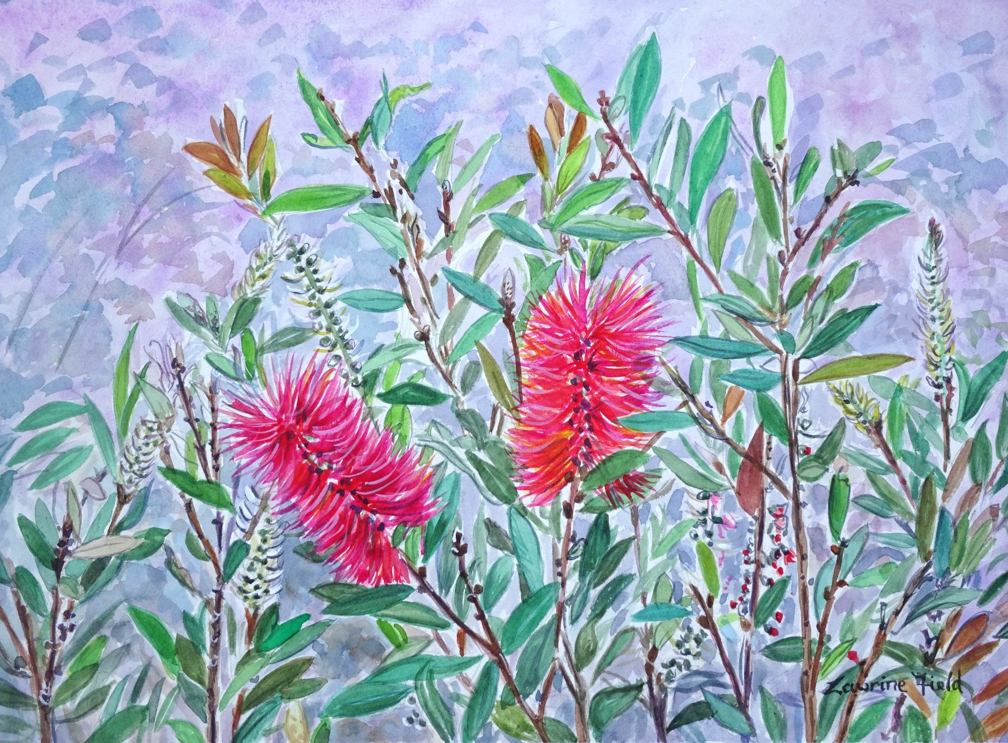 69164a62e1b8ea140711df10_bottlebrush_1788675020083.jpg
