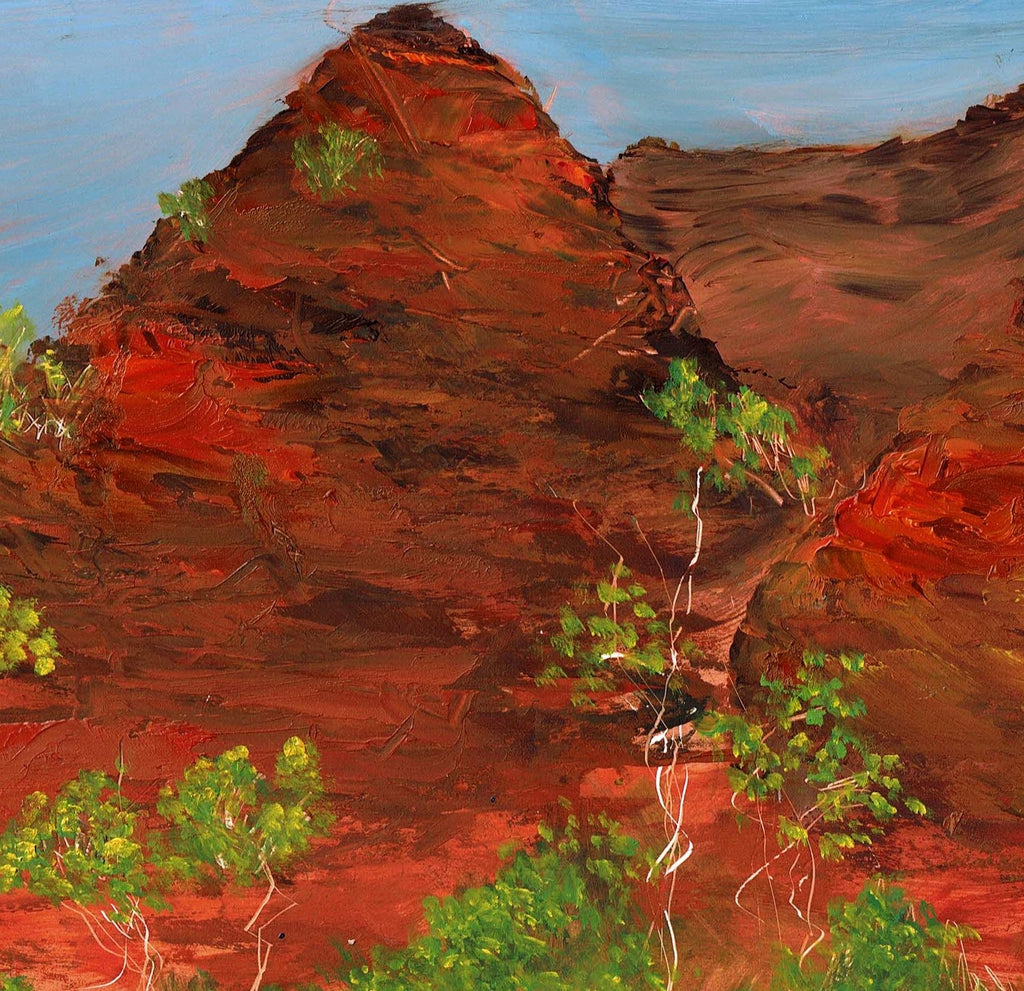 69164a62e1b8ea140711df10_bungle-bungles-detail_1776665552961.jpg