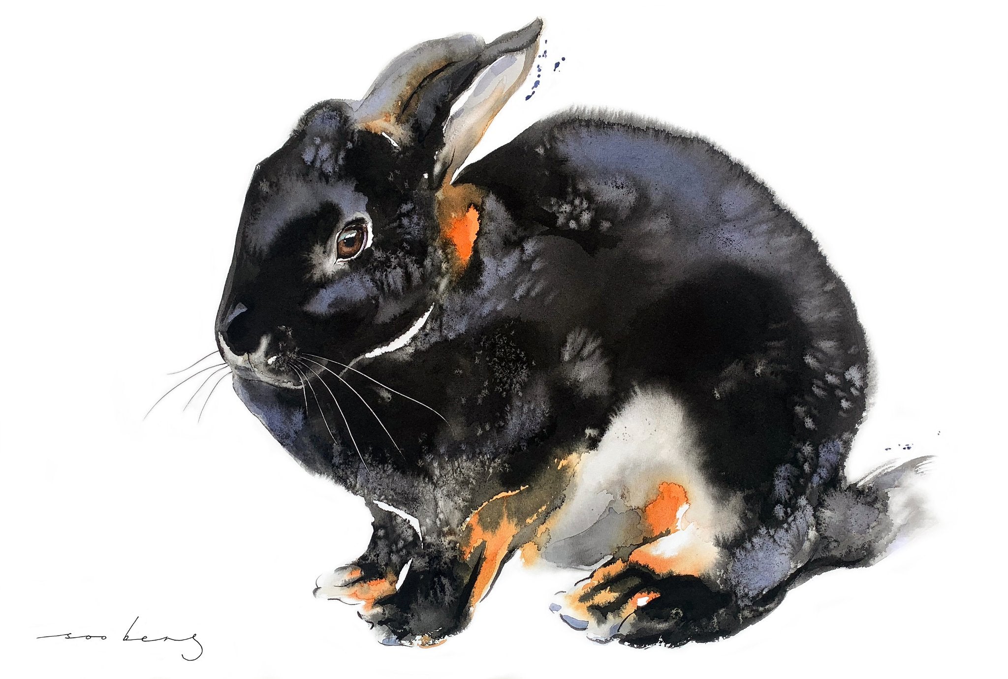 69164a62e1b8ea140711df10_bunny-s-worth_1774658818273.jpg