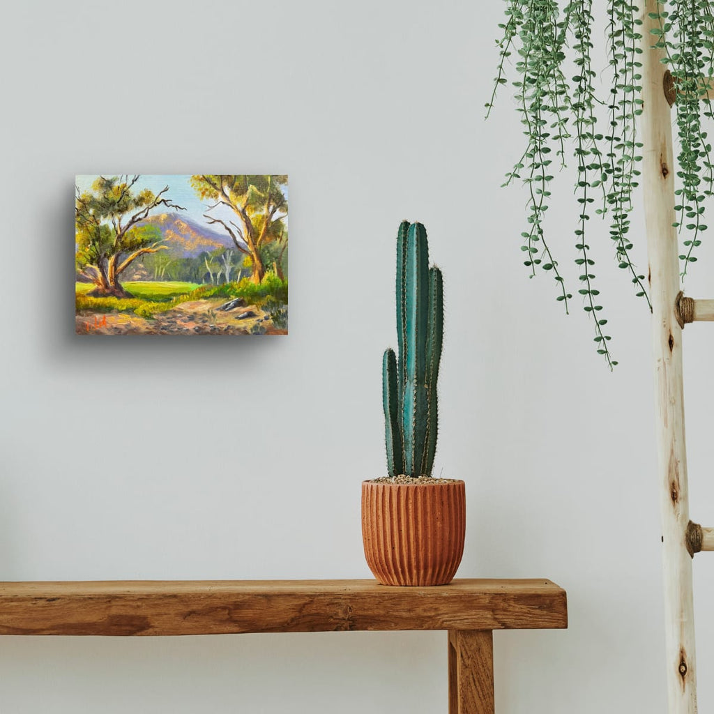 69164a62e1b8ea140711df10_cactus_1771551932164.jpeg