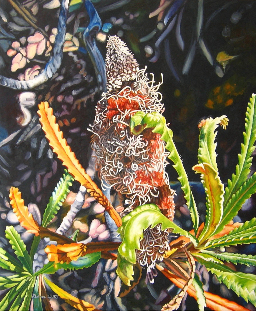 69164a62e1b8ea140711df10_candlestick-banksia-attenuata-biara_1777022082138.jpg