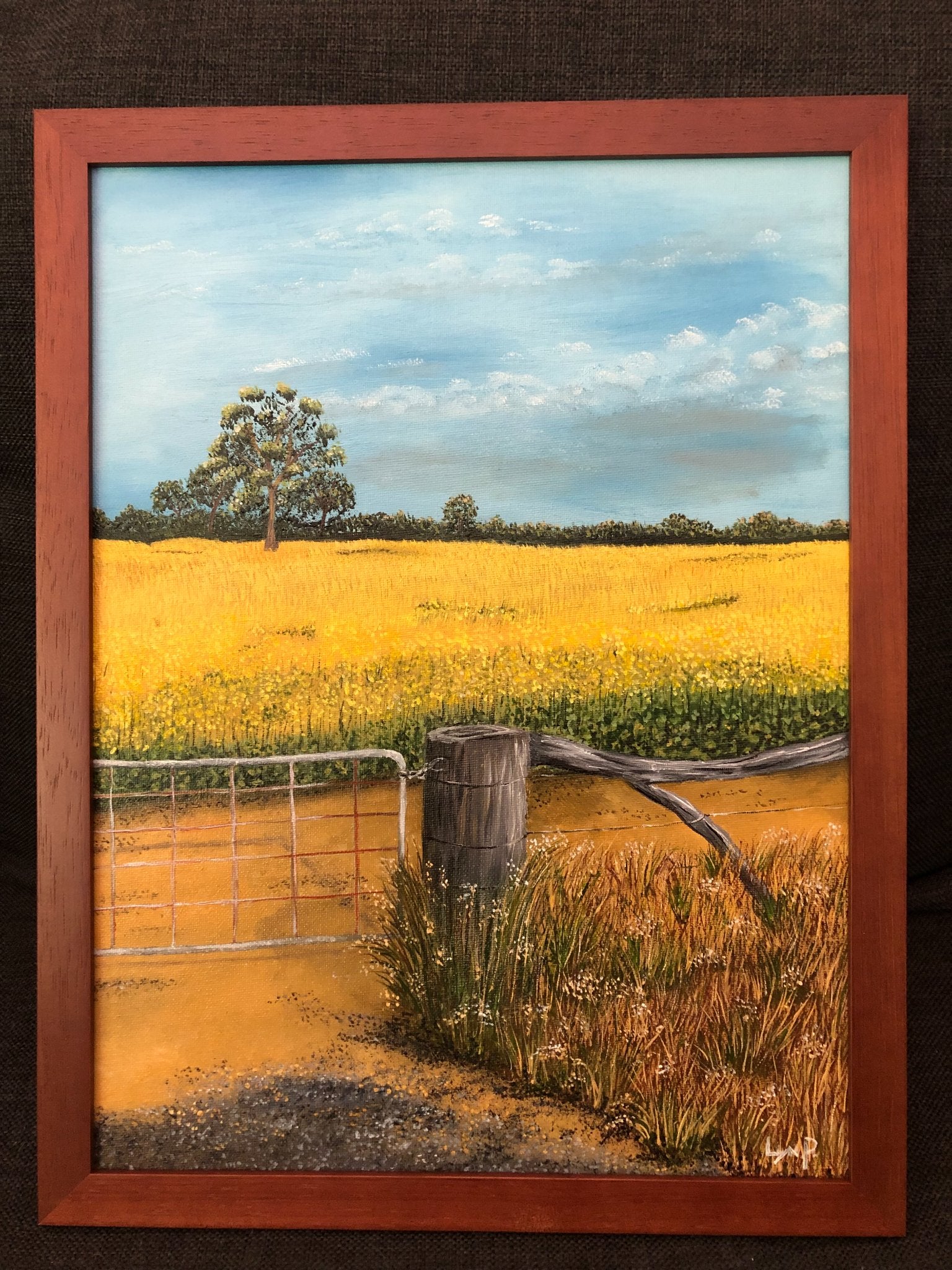 69164a62e1b8ea140711df10_canola-fields-of-western-australia_1766984032575.jpg