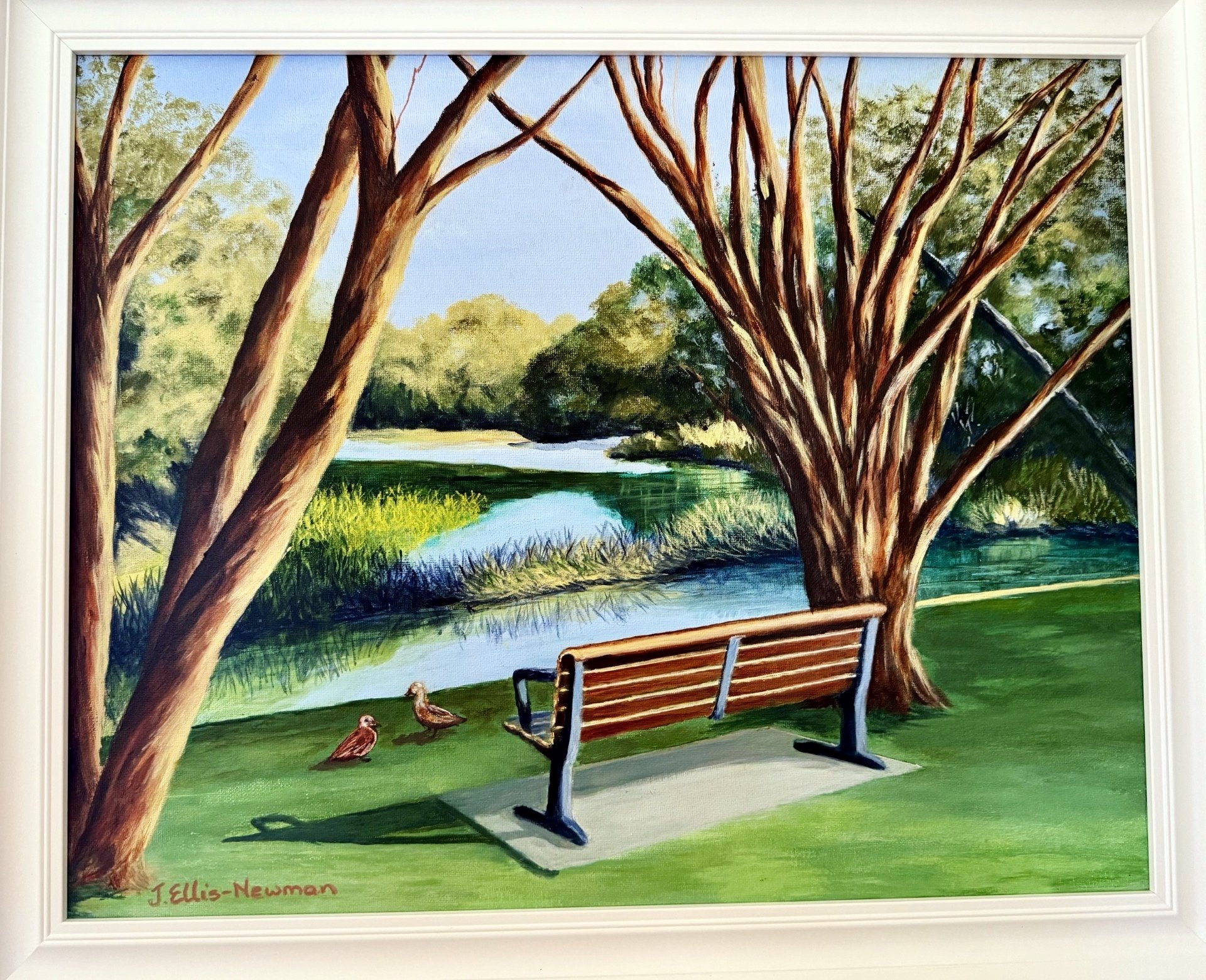 69164a62e1b8ea140711df10_carine-open-space-with-ducks_1778479814171.jpg