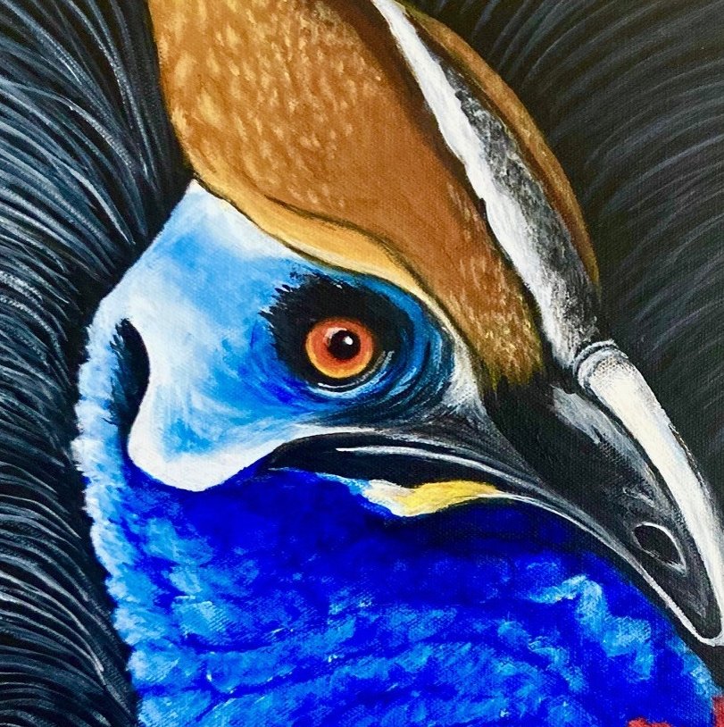 69164a62e1b8ea140711df10_cassowary-detail_1766910379742.jpg