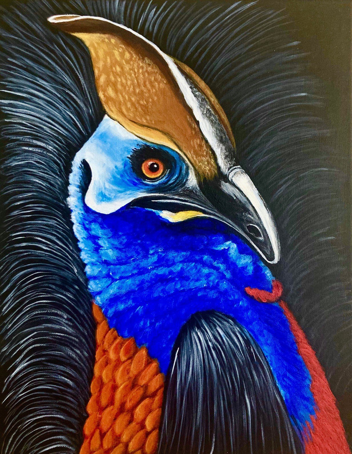 69164a62e1b8ea140711df10_cassowary-hanging_1766910379742.jpg