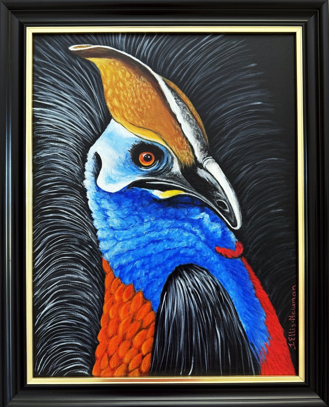 69164a62e1b8ea140711df10_cassowary-no_1766910347586.jpg