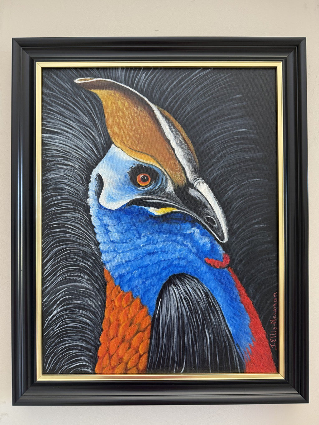 69164a62e1b8ea140711df10_cassowary-no_1766910379741.jpg