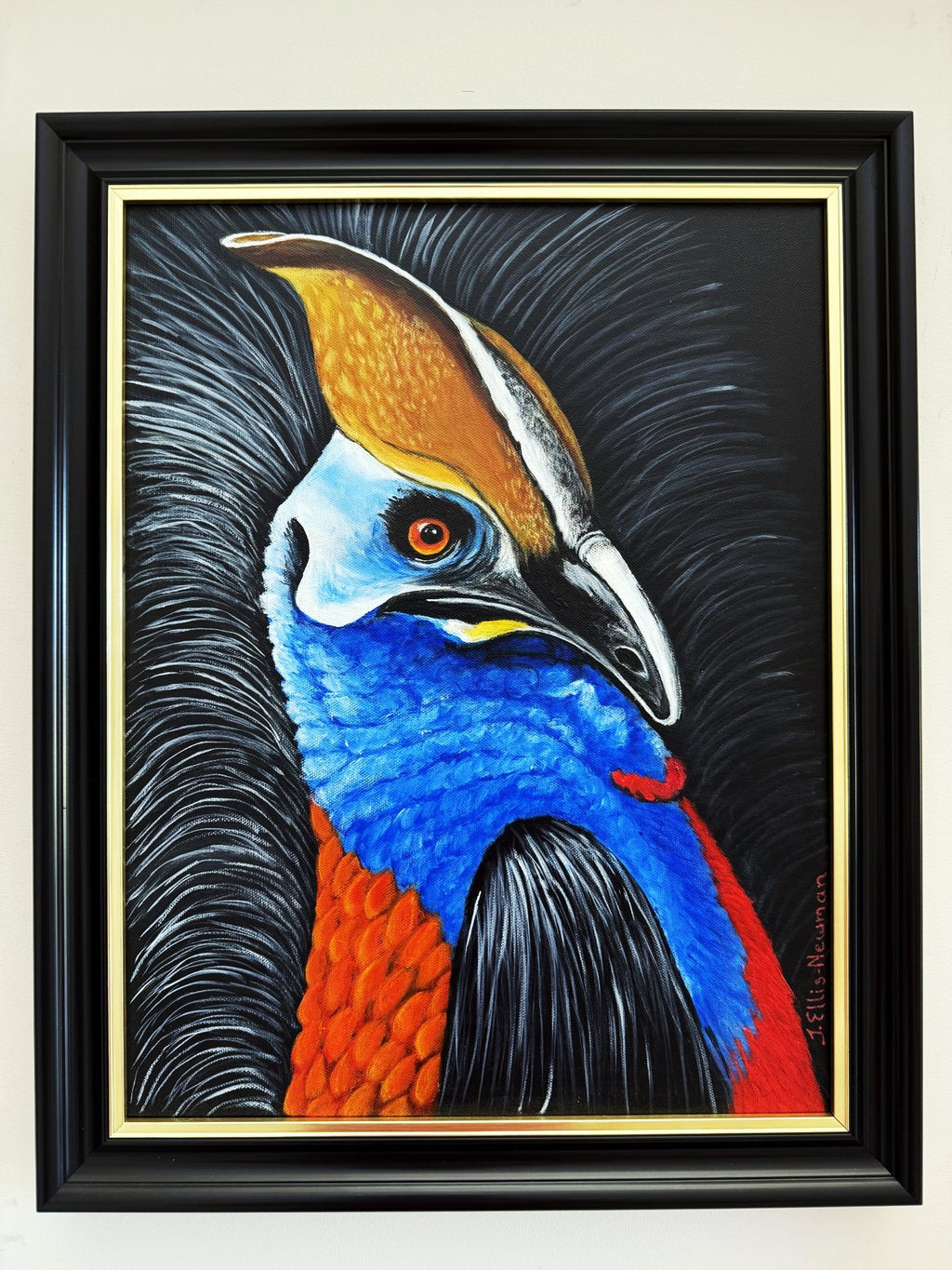 69164a62e1b8ea140711df10_cassowary-no_1766910379743.jpg