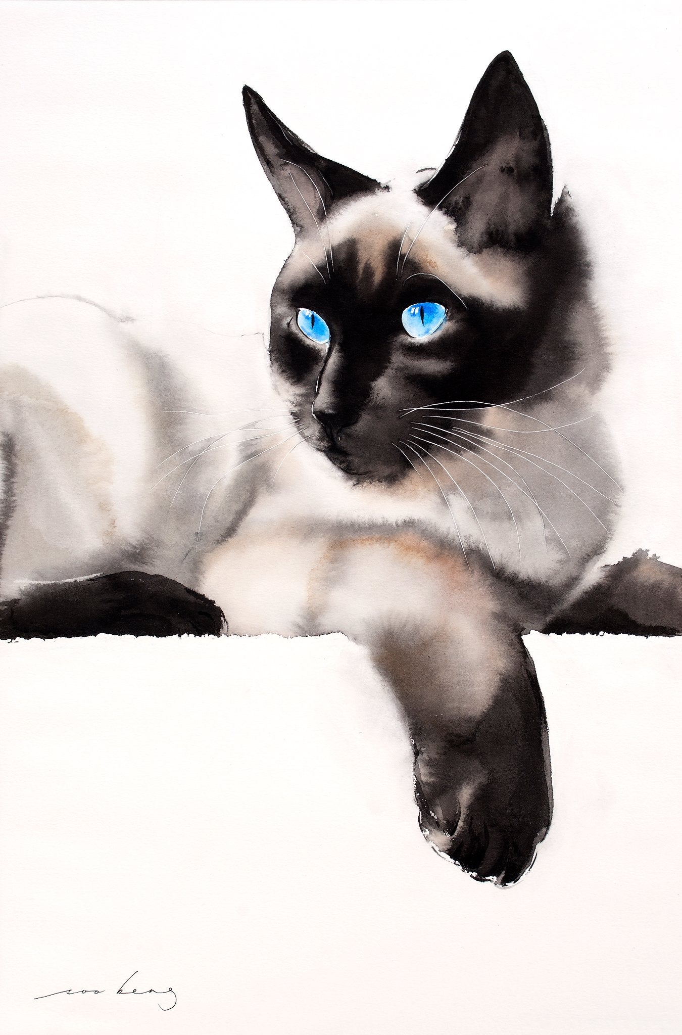 69164a62e1b8ea140711df10_cat-gaze_1774912059343.jpg