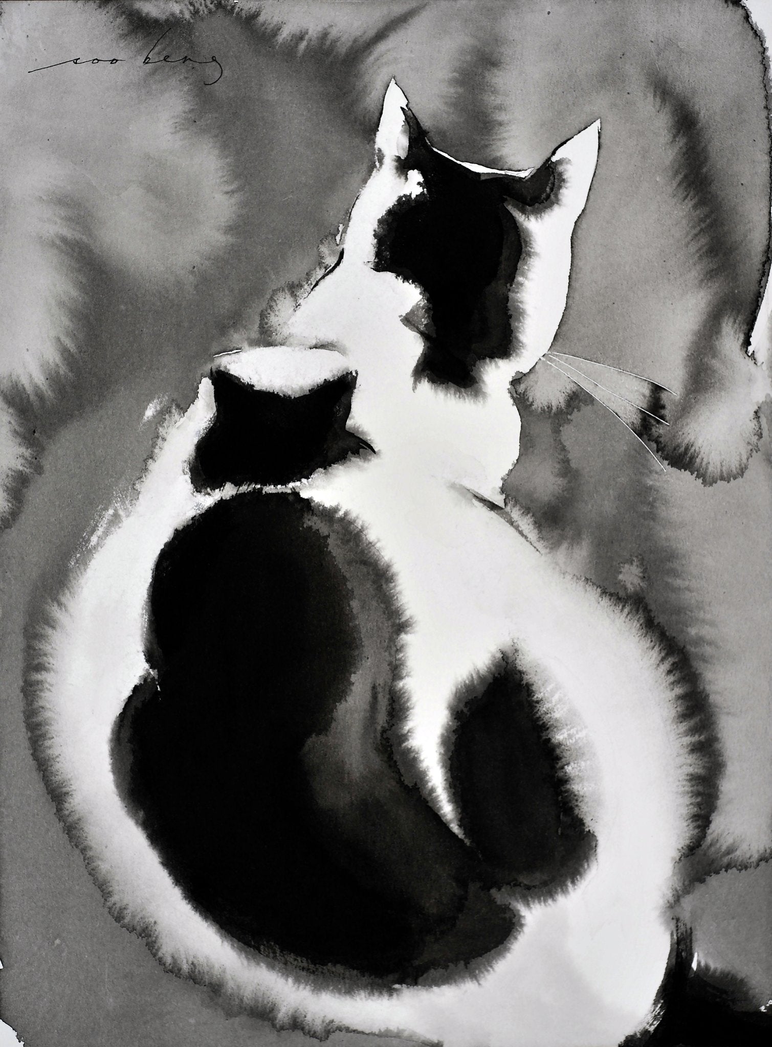 69164a62e1b8ea140711df10_cat-print2-2_1774912296531.jpg