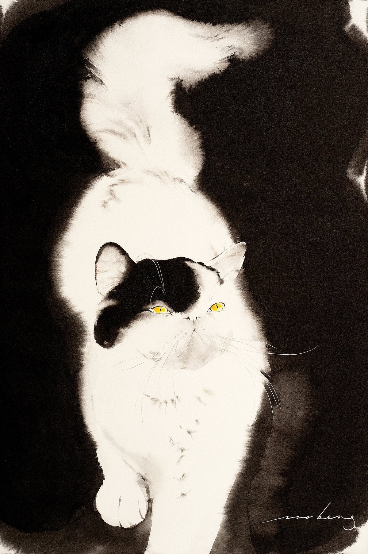 69164a62e1b8ea140711df10_cat-walk2_1775542485185.jpg