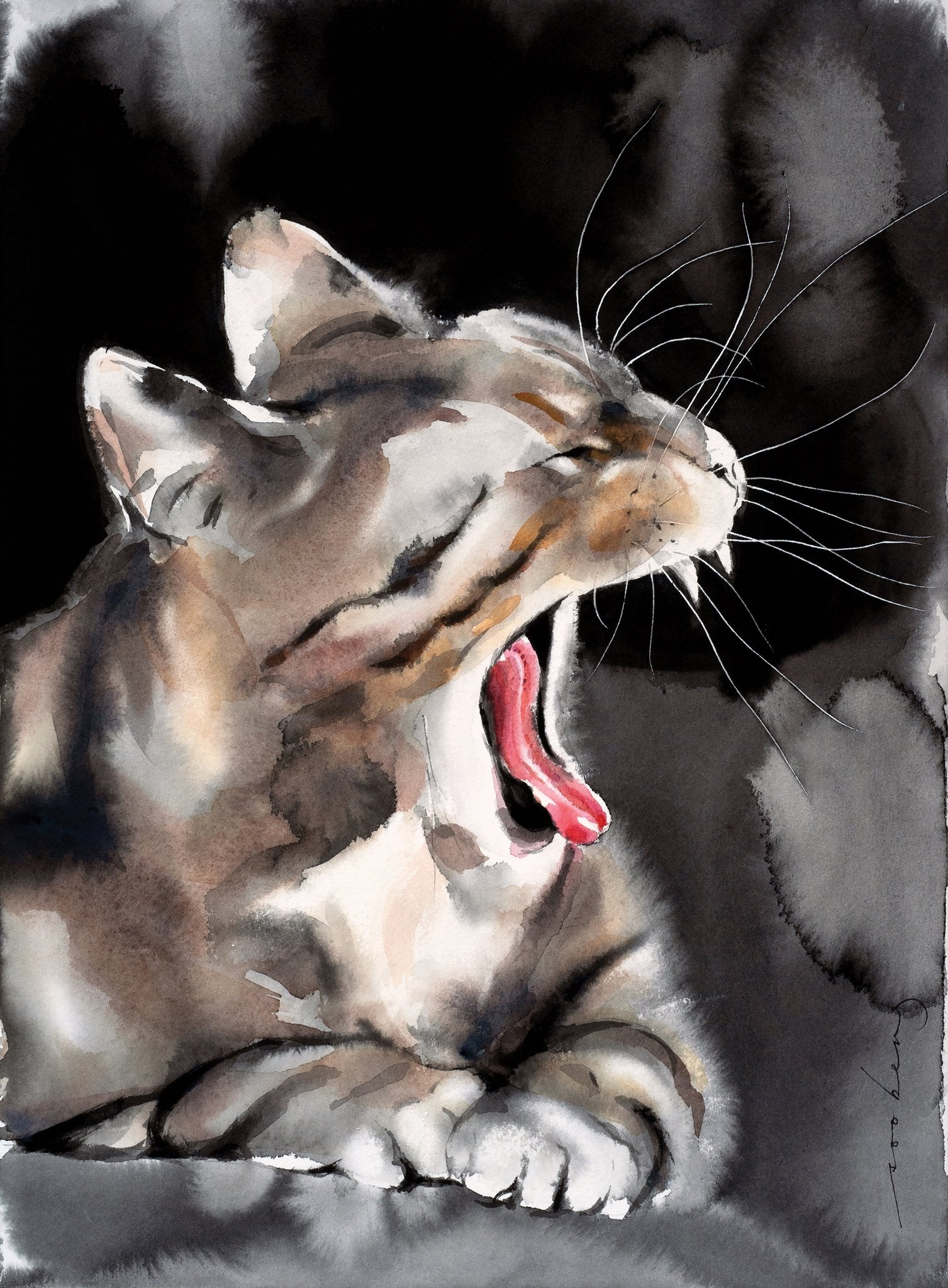 69164a62e1b8ea140711df10_cat-yawn_1774934461266.jpg