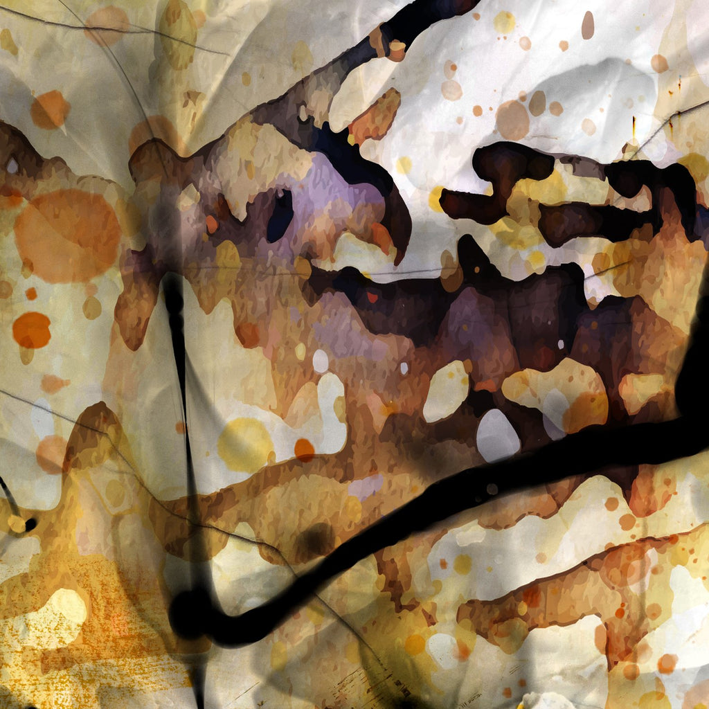 69164a62e1b8ea140711df10_chaotic-beauty-2_1766438830614.jpg