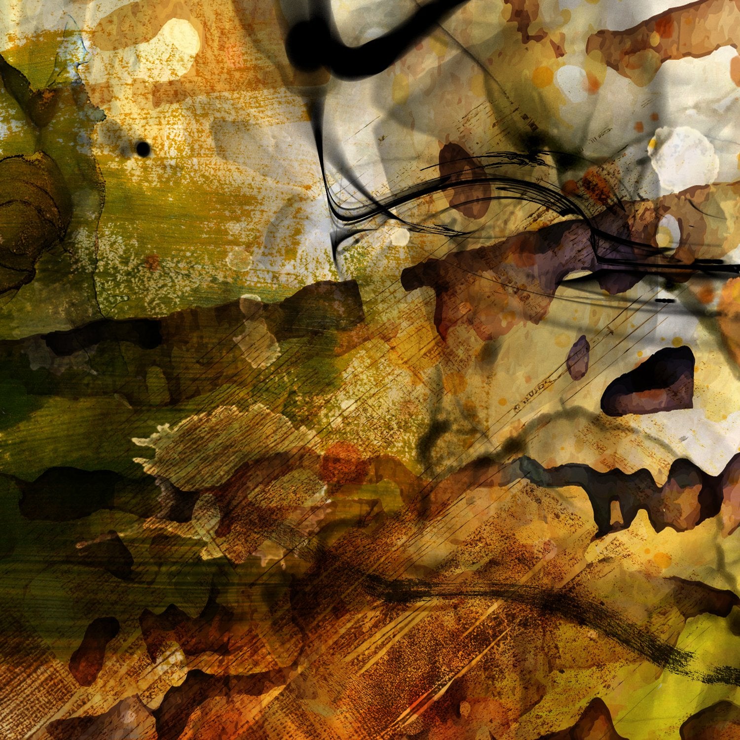 69164a62e1b8ea140711df10_chaotic-beauty-5_1766438830615.jpg