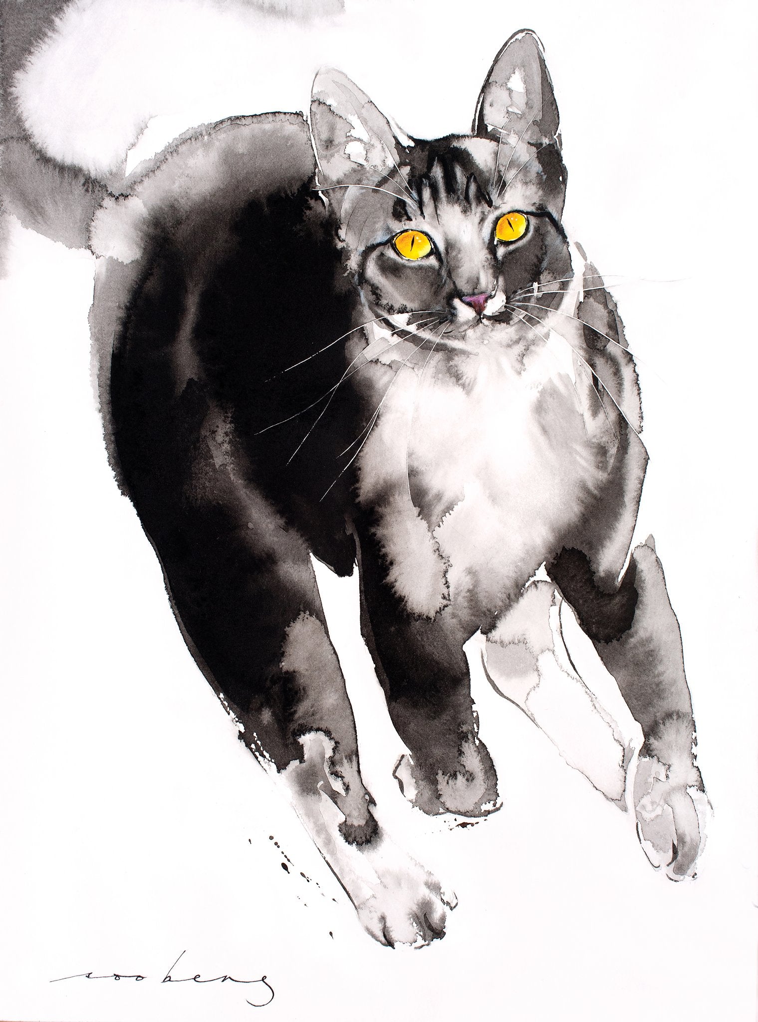 69164a62e1b8ea140711df10_chaser-cat2_1773873277588.jpg
