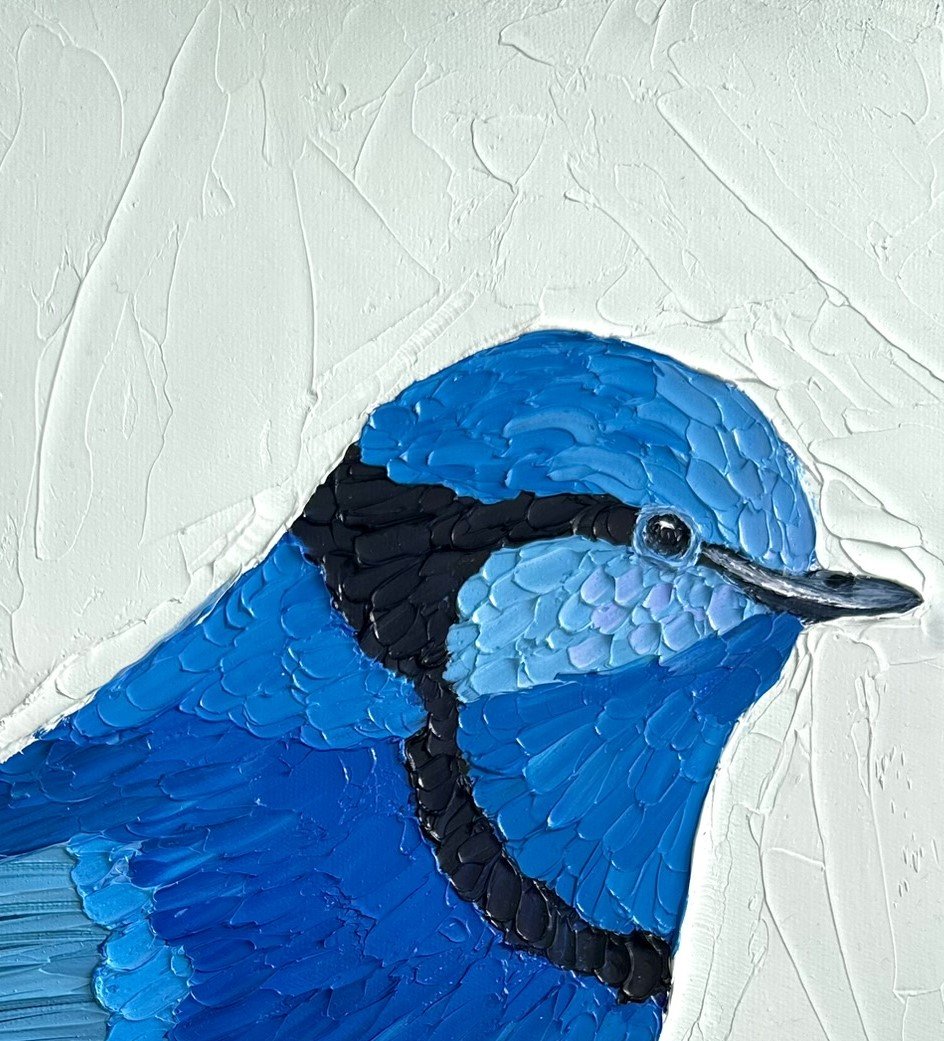 69164a62e1b8ea140711df10_cheerful-in-blue-face_1793409711828.jpeg