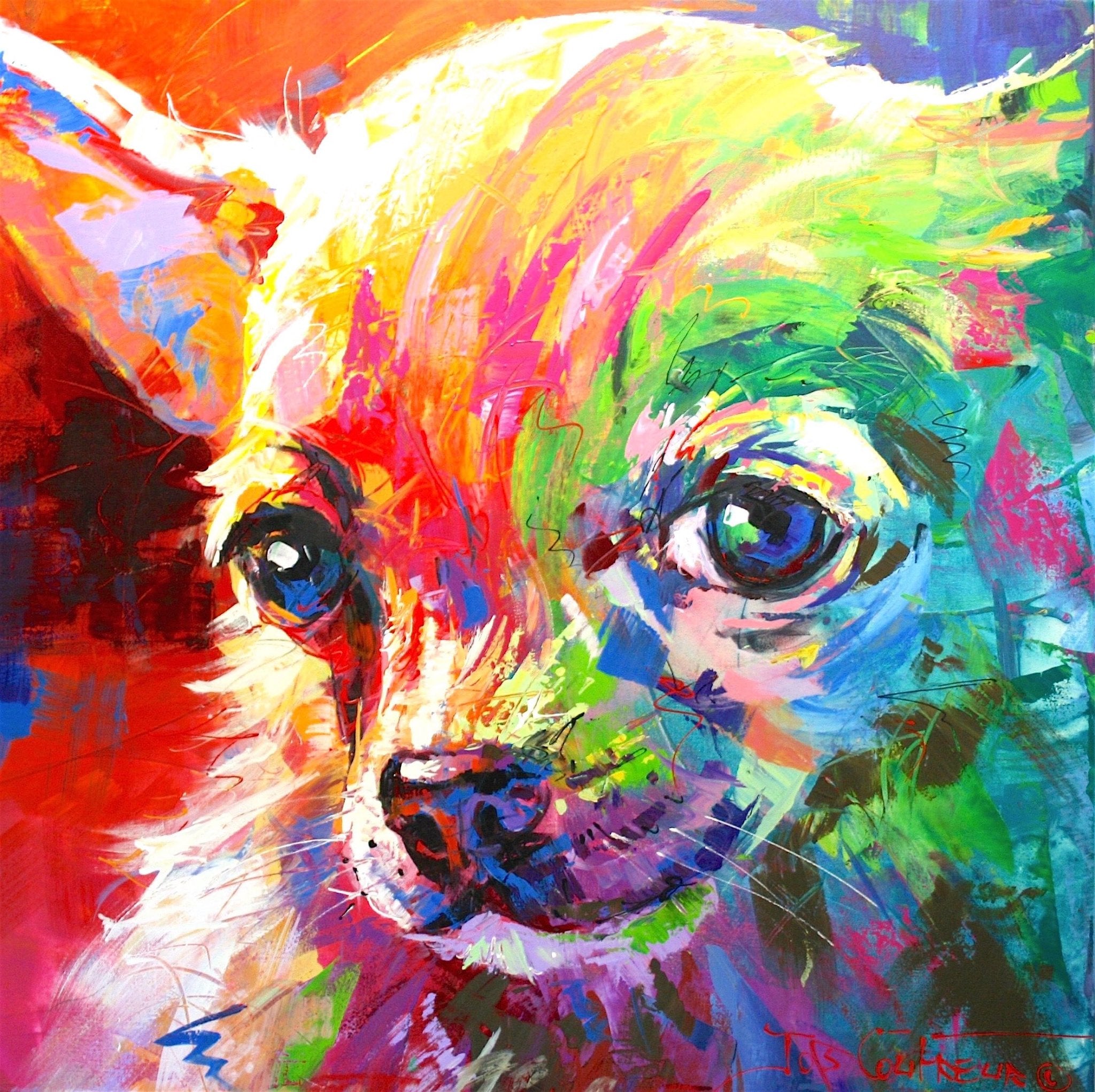 69164a62e1b8ea140711df10_chihuahua-136-40-x40-copy_1777012641186.jpg