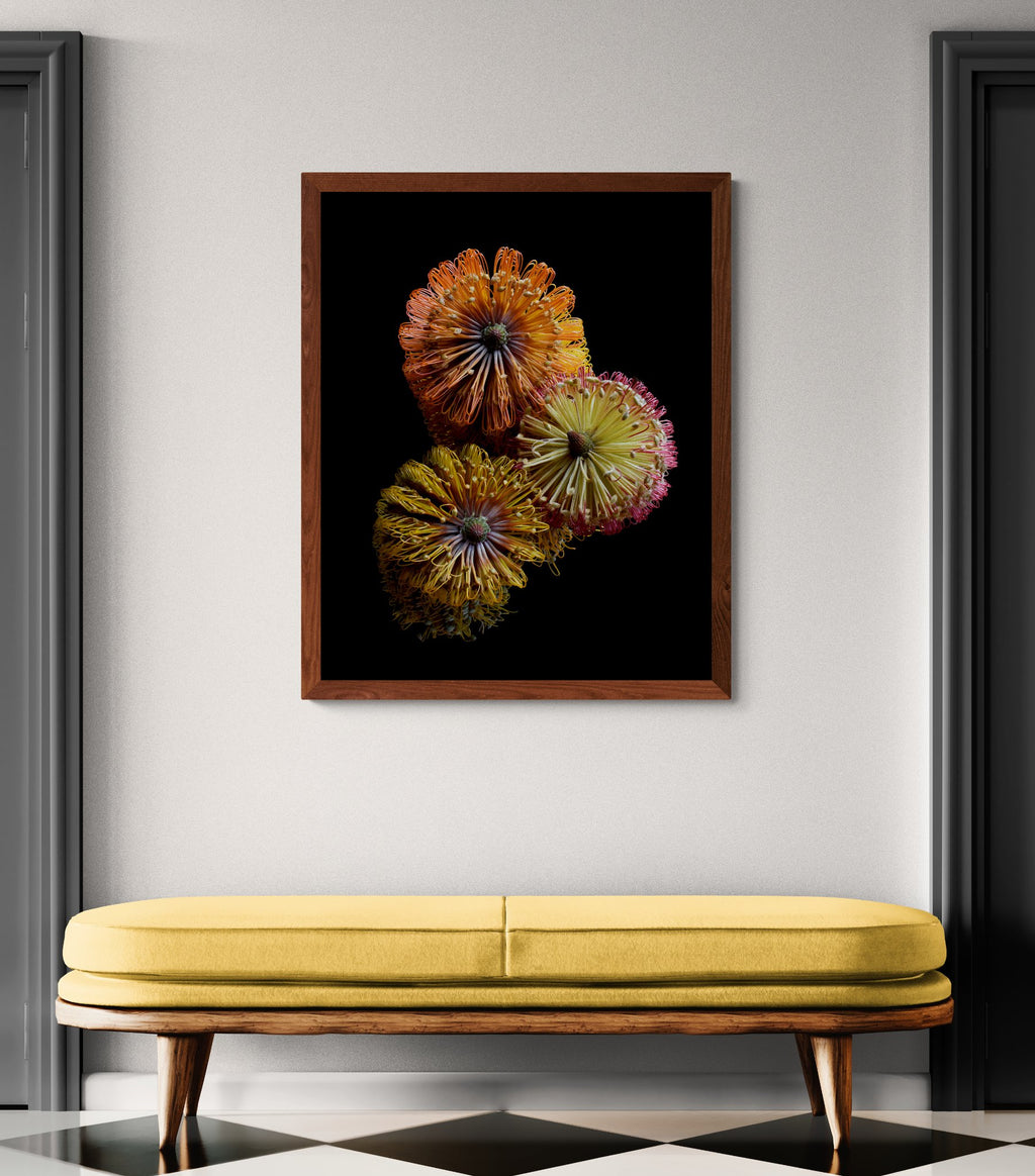 69164a62e1b8ea140711df10_classic-interior-hallway-with-a-bench-seat-11-_1781941283420.jpg