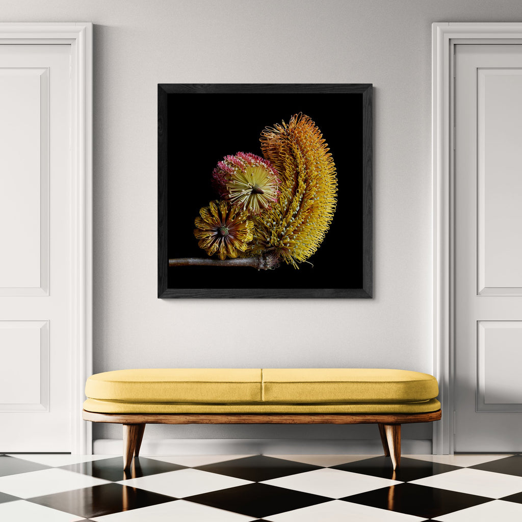 69164a62e1b8ea140711df10_classic-interior-hallway-with-a-bench-seat-12-_1783148440056.jpg