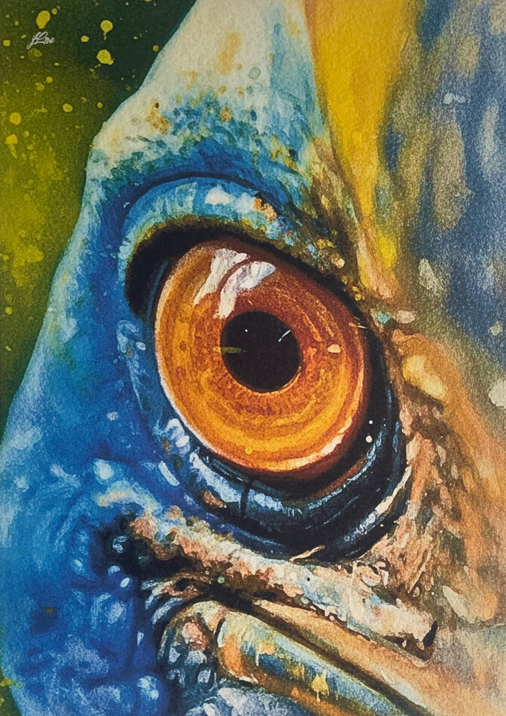 69164a62e1b8ea140711df10_close-encounters-with-a-cassowary-coahd-by-jflowe_1782951965181.jpeg