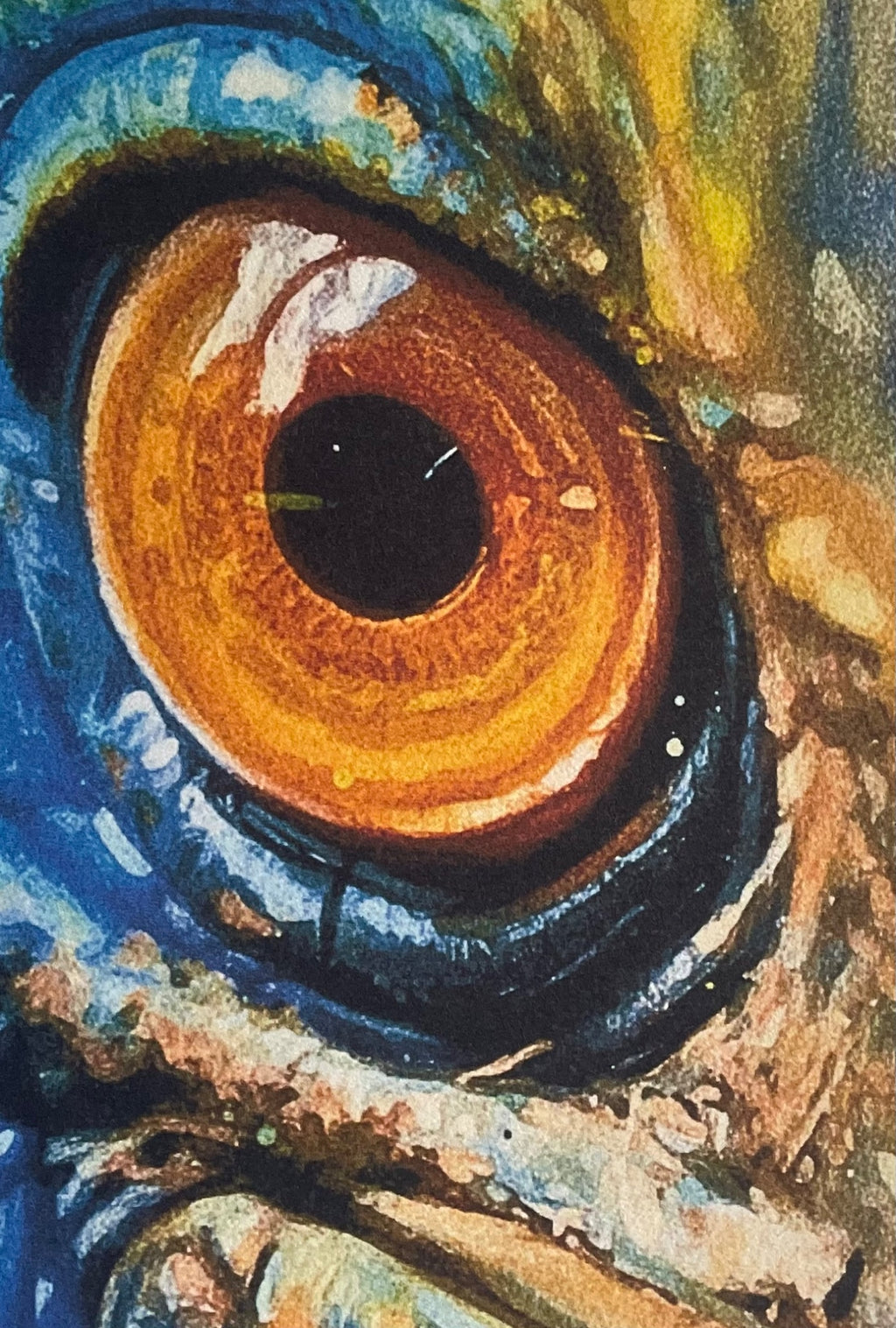 69164a62e1b8ea140711df10_close-encounters-with-a-cassowary-coahd-closeup_1782951965190.jpeg