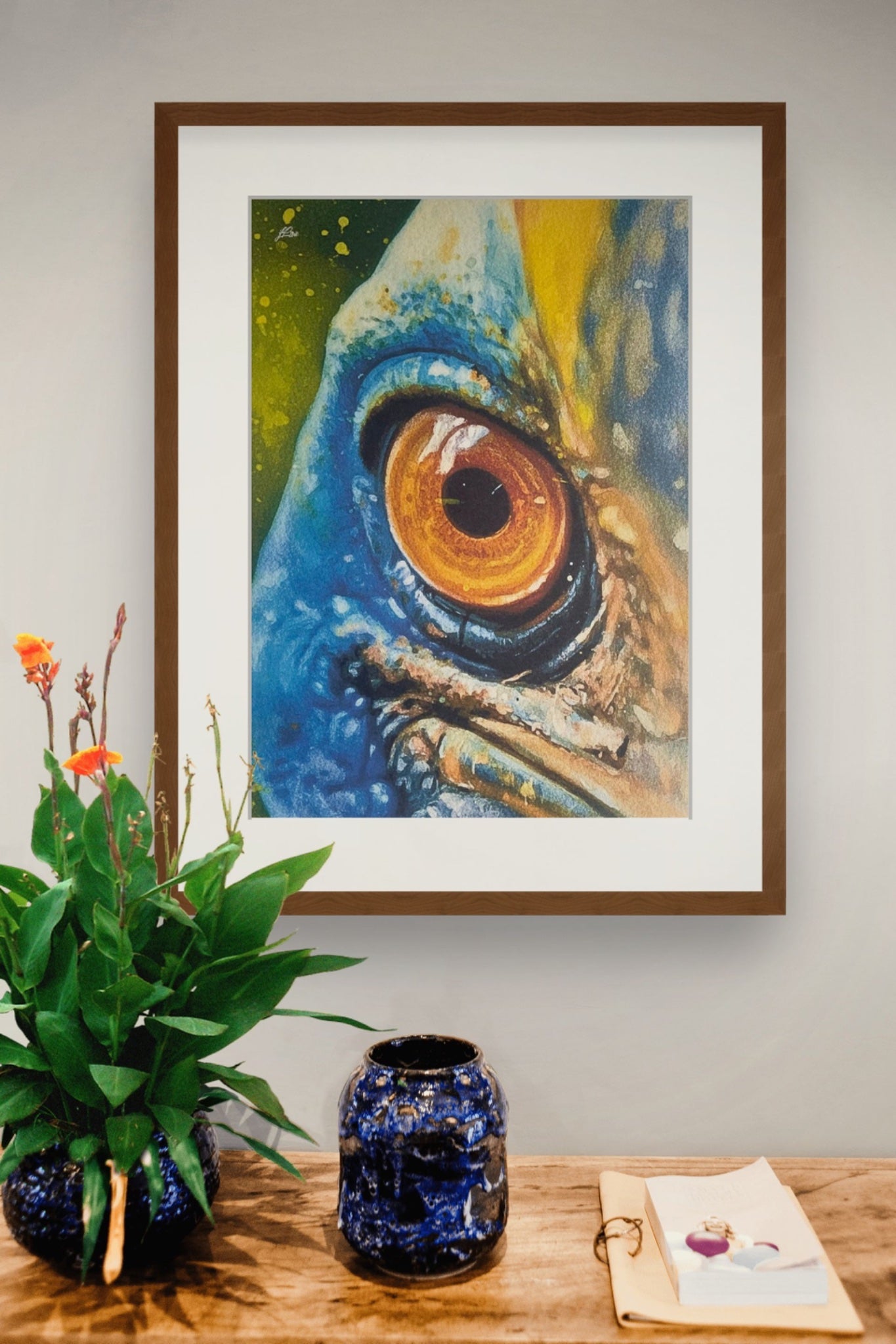 69164a62e1b8ea140711df10_close-encounters-with-a-cassowary-medium_1782951965187.jpg