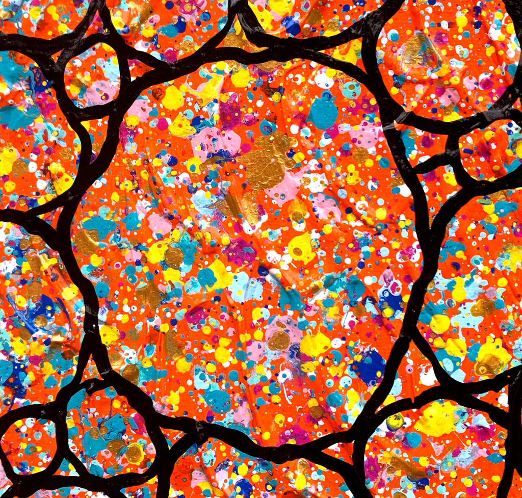 69164a62e1b8ea140711df10_close-up-2-abstract-landscape-outback-australia-pebbles-miranda-lloyd_1774133824706.jpg