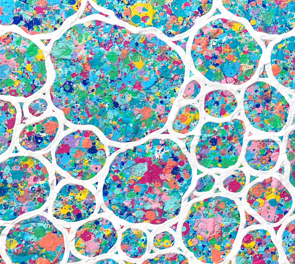 69164a62e1b8ea140711df10_close-up-2-spring-garden-pebbles-miranda-lloyd-artist_1790223889157.jpg