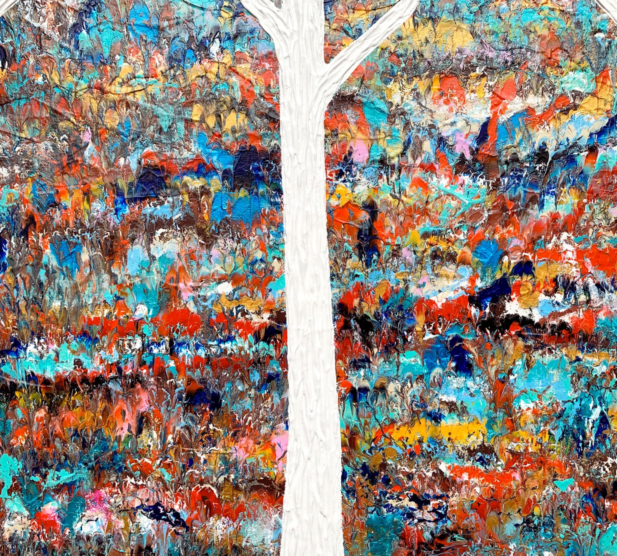69164a62e1b8ea140711df10_close-up-edges-coastal-outback-ghost-trees-abstract-miranda-lloyd_1787358416745.jpg