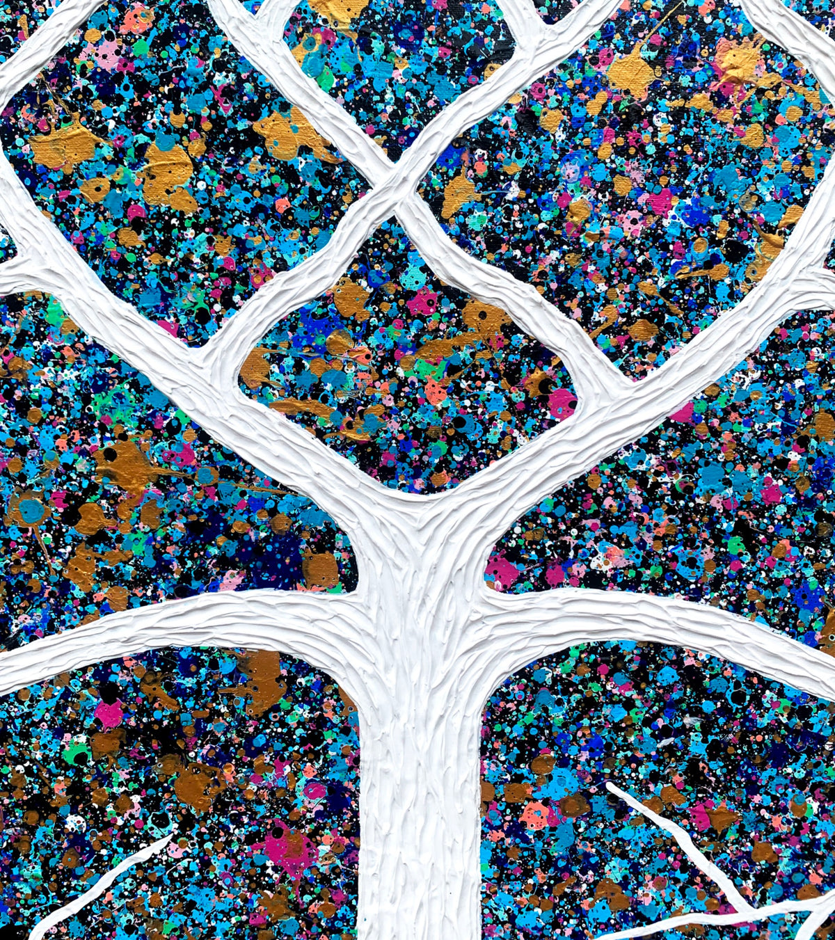 69164a62e1b8ea140711df10_close-up-outback-opal-tree-91-91-miranda-lloyd_1790468997142.jpg