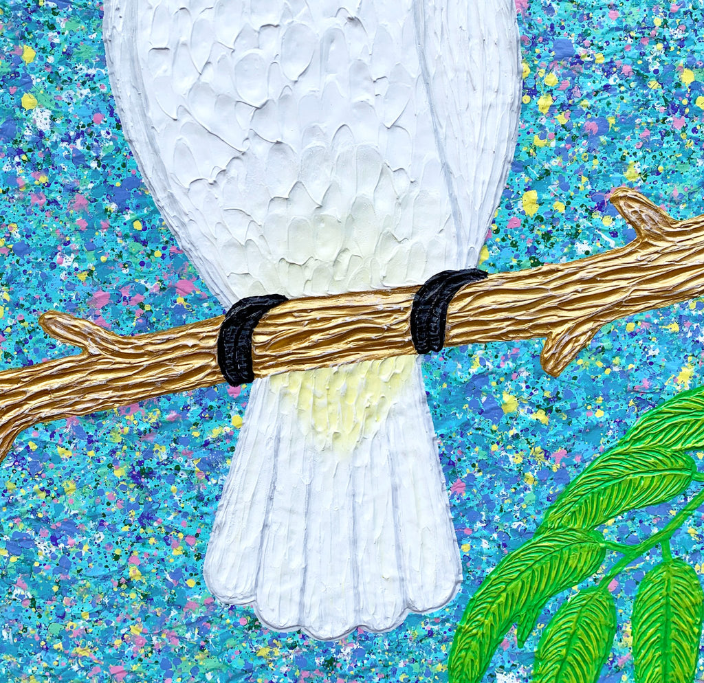 69164a62e1b8ea140711df10_close-up-sulphur-crested-cockatoo-miranda-lloyd-artist_1774130652497.jpg
