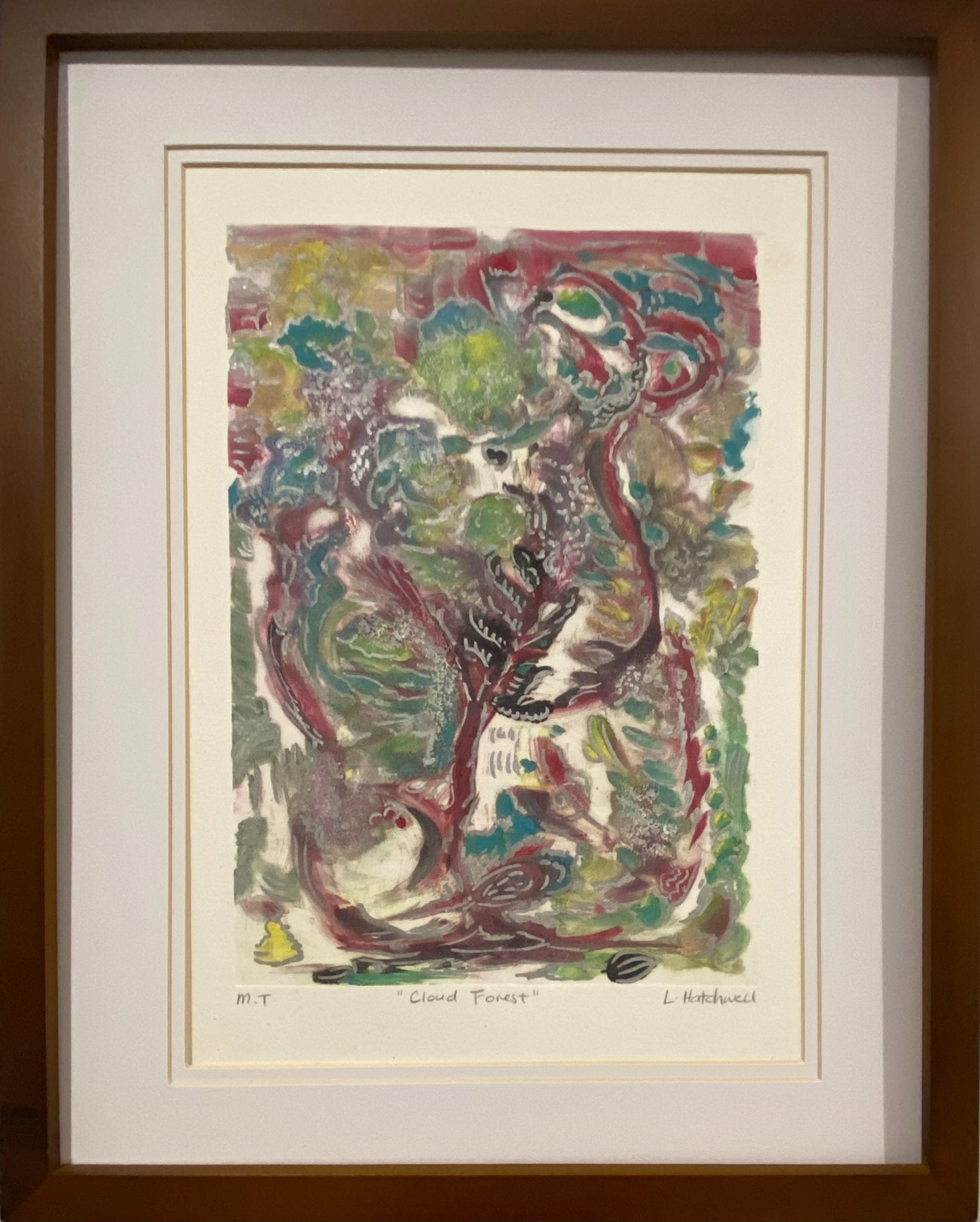 69164a62e1b8ea140711df10_cloud-forest_1779100929223.jpeg