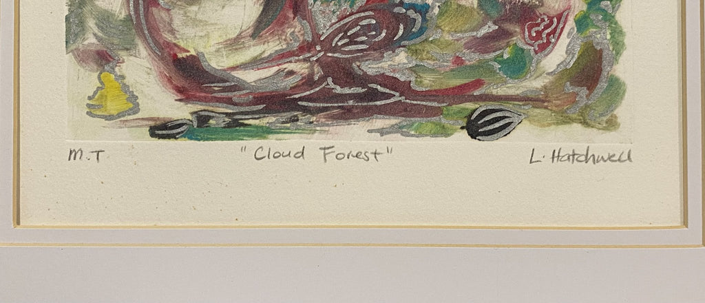 69164a62e1b8ea140711df10_cloudforestcloseup_1777636702092.jpeg