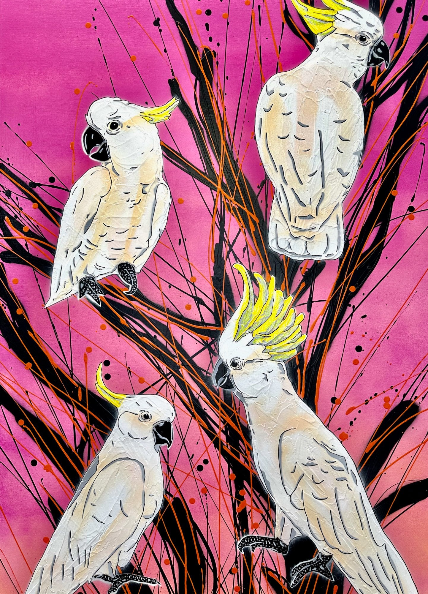 69164a62e1b8ea140711df10_cockatoos-at-sunrise-deborah-lang-urban-pop-art-4_1768109658516.jpg