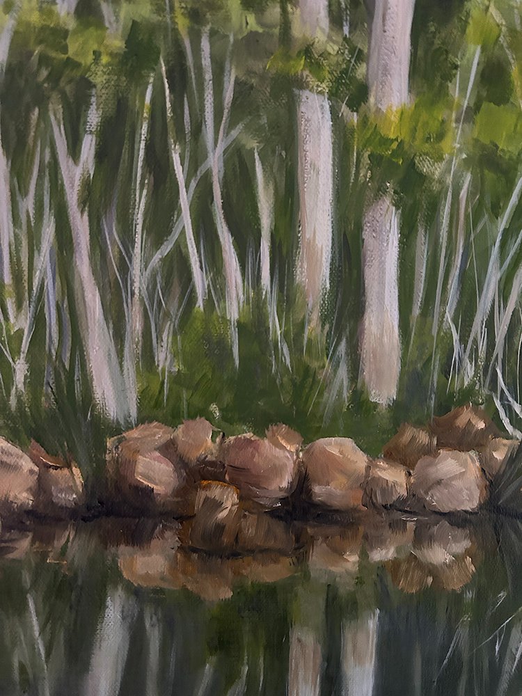 69164a62e1b8ea140711df10_cockle-creek-detail-1_1779937559385.jpg