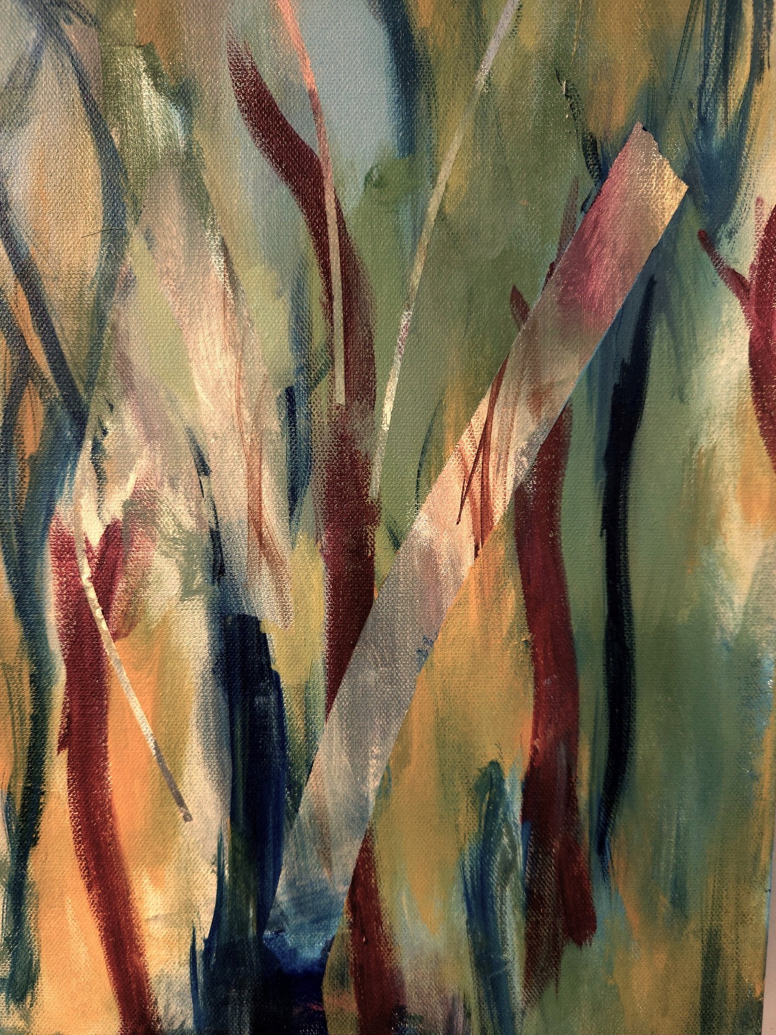 69164a62e1b8ea140711df10_colours-of-the-bush3-detail2_1779392950606.jpg