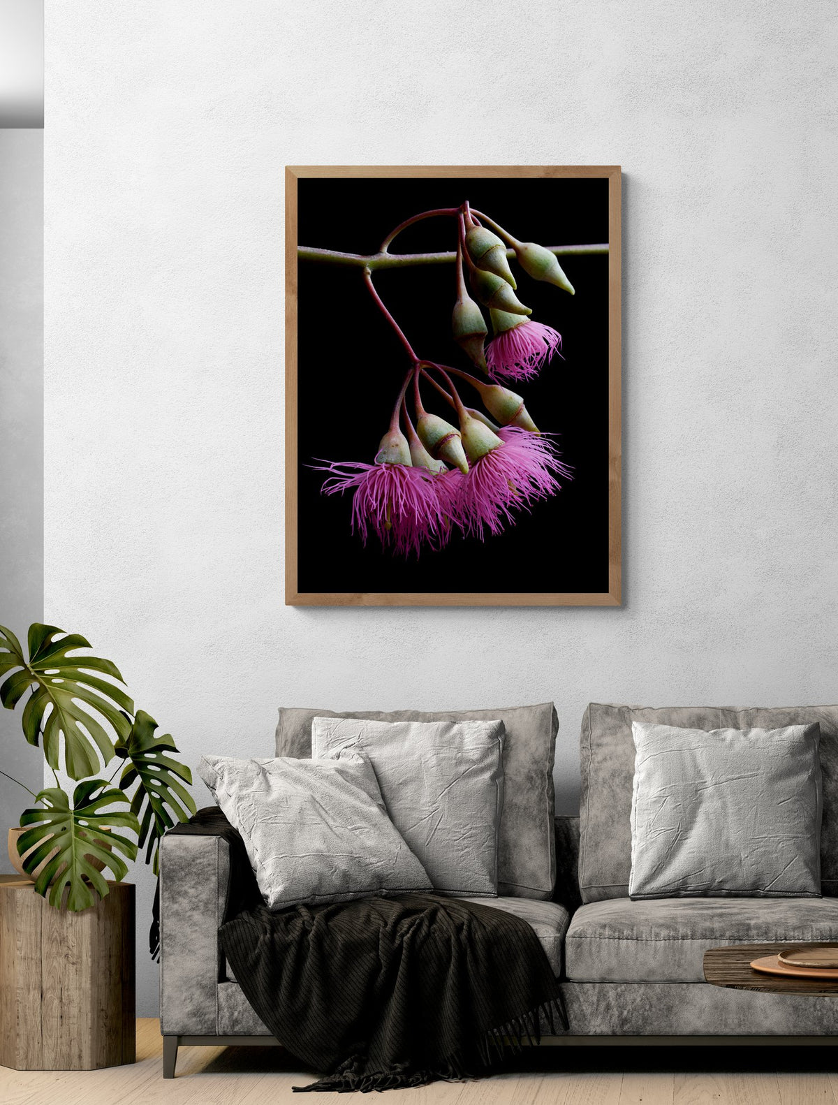 69164a62e1b8ea140711df10_comfy-living-room-with-a-sofa-and-plant-3_1789888454254.jpg