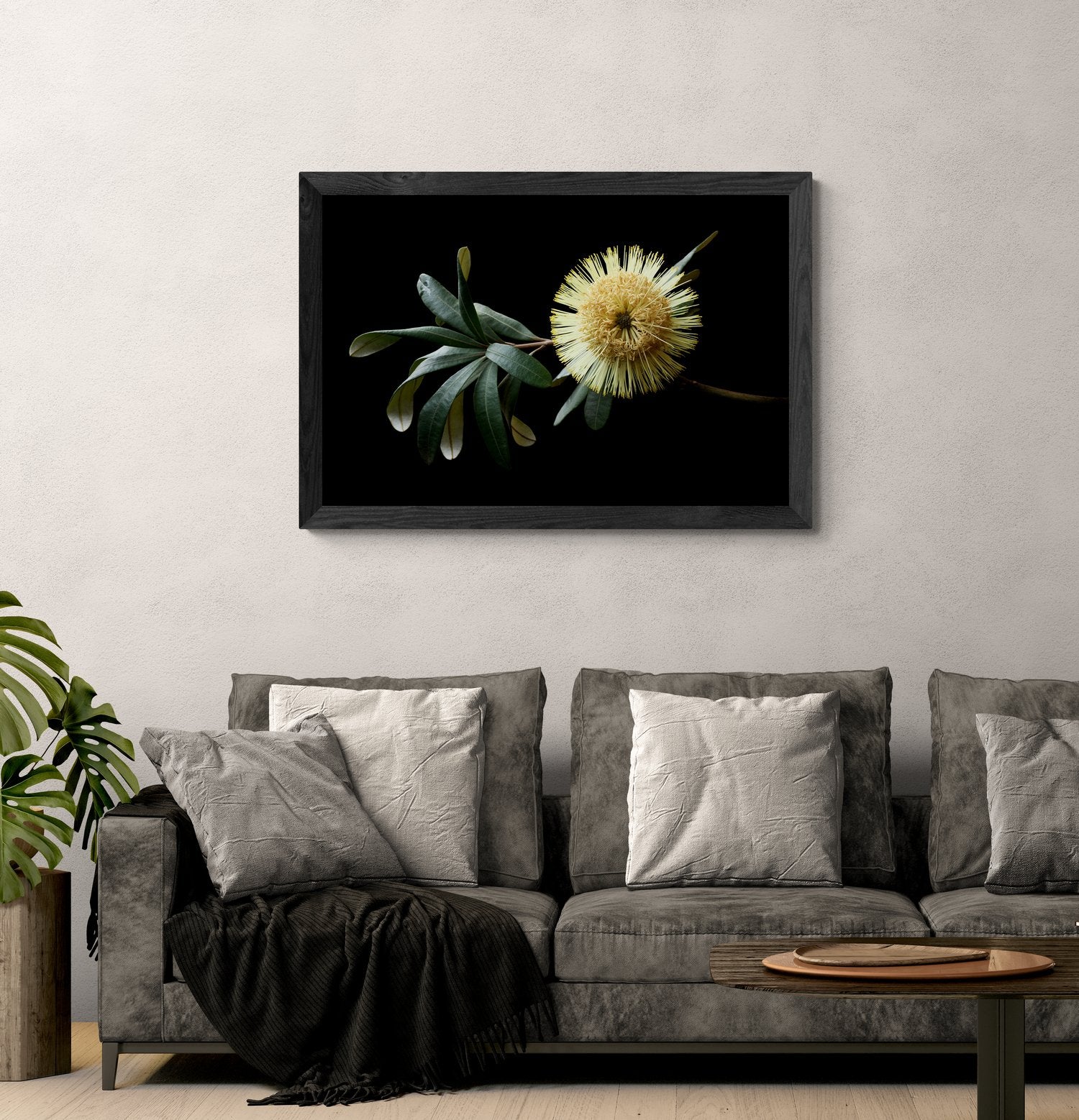 69164a62e1b8ea140711df10_comfy-living-room-with-a-sofa-and-plant_1785912346878.jpg