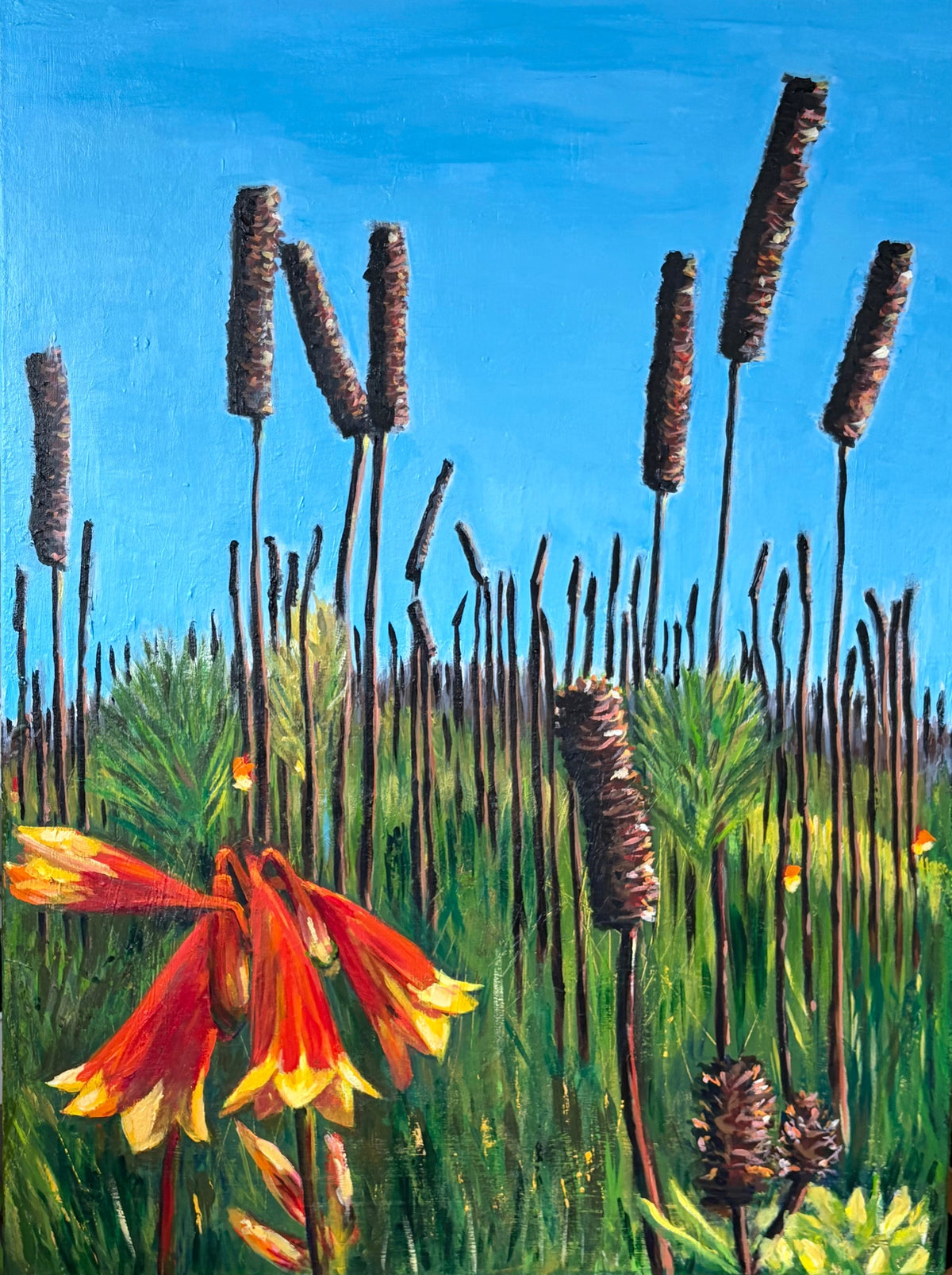69164a62e1b8ea140711df10_connie-godwin-diamond-head-nsw-after-the-fires-acrylic-on-canvas-76-cm-x-102-cm_1791519565579.jpeg