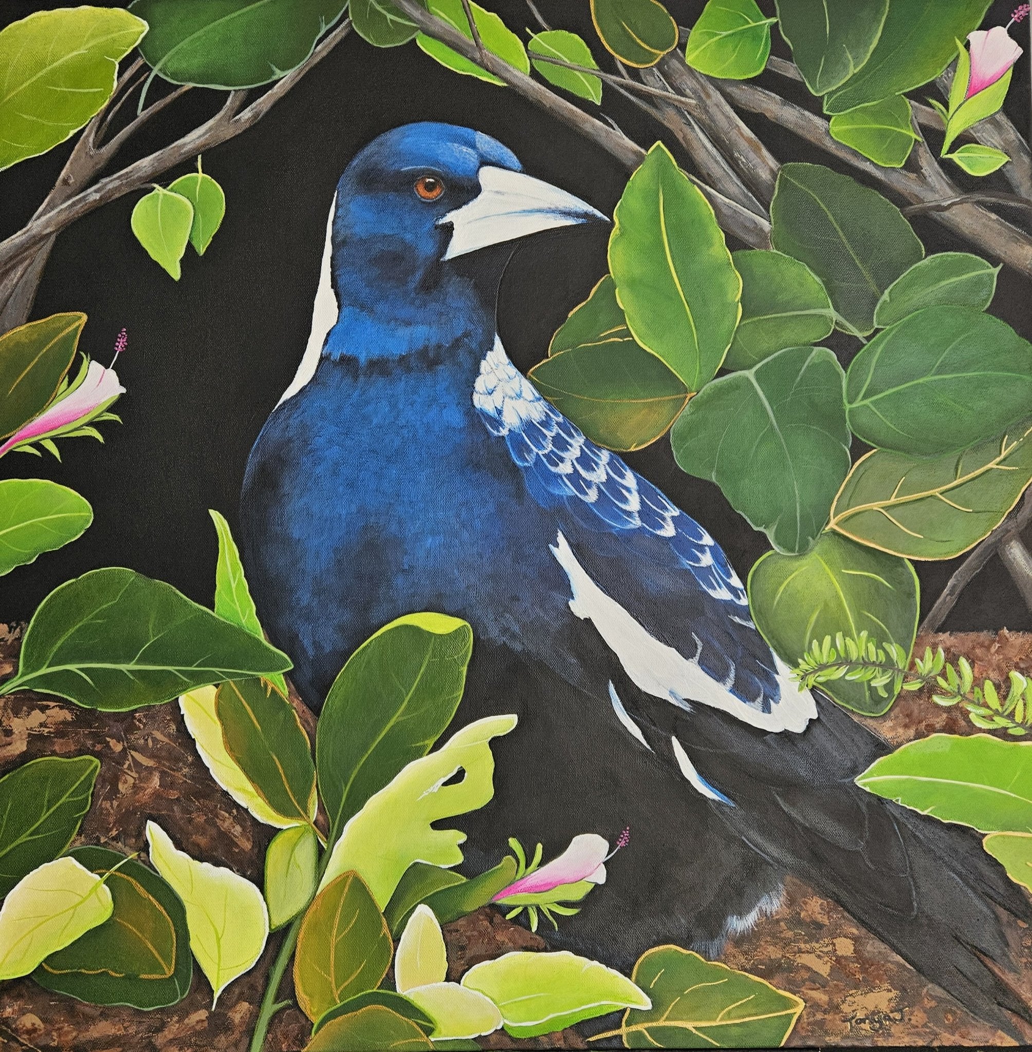 69164a62e1b8ea140711df10_copy-edited-magpie_1781597430845.jpg