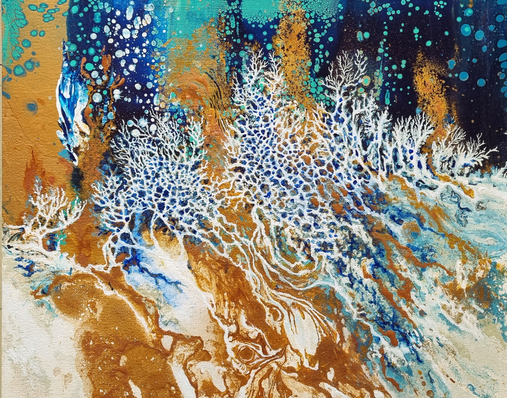 69164a62e1b8ea140711df10_coral-kingdom-detail-a_1789049529911.jpg